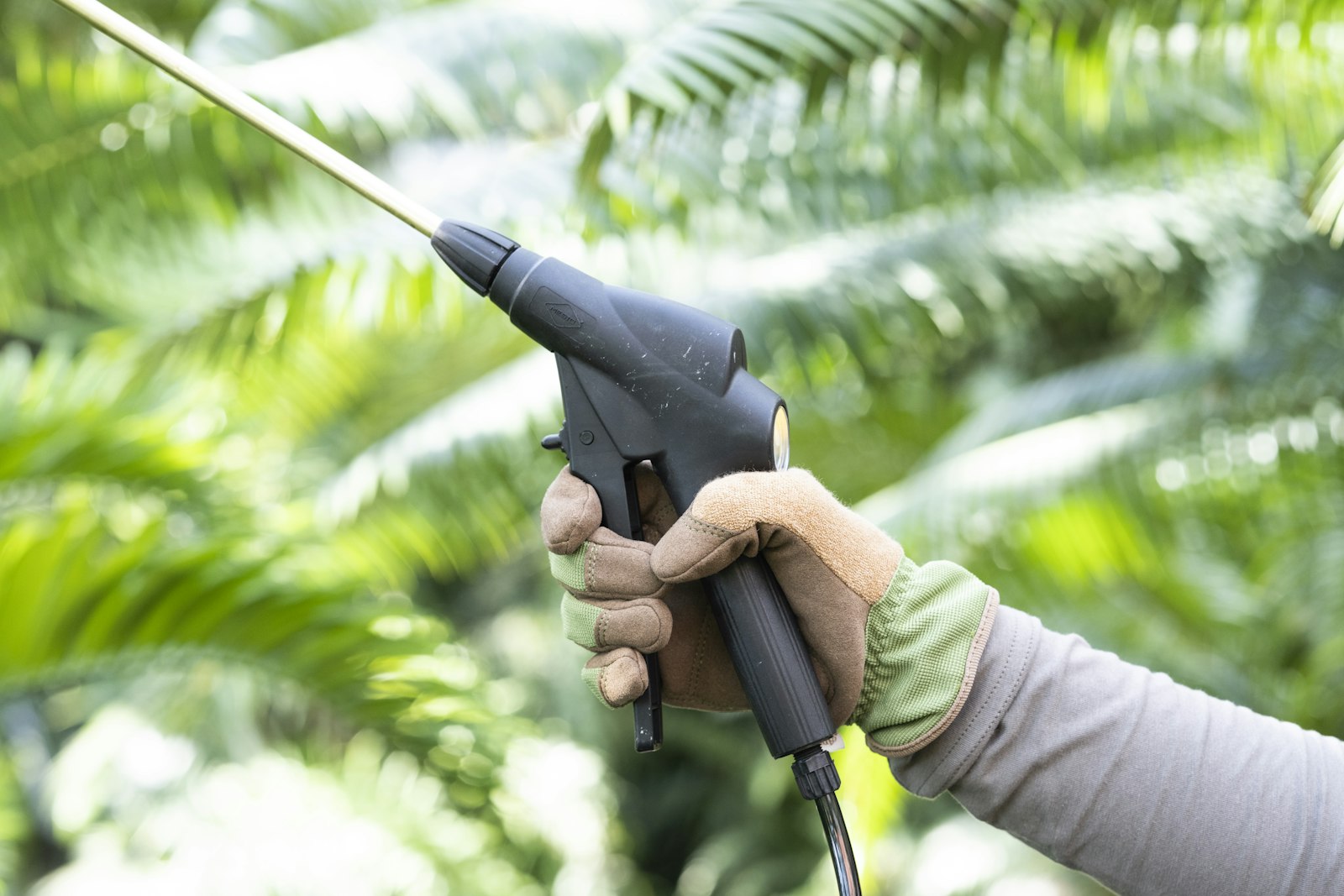 手袋をした手が噴霧器のノズルを植物に向けている様子
